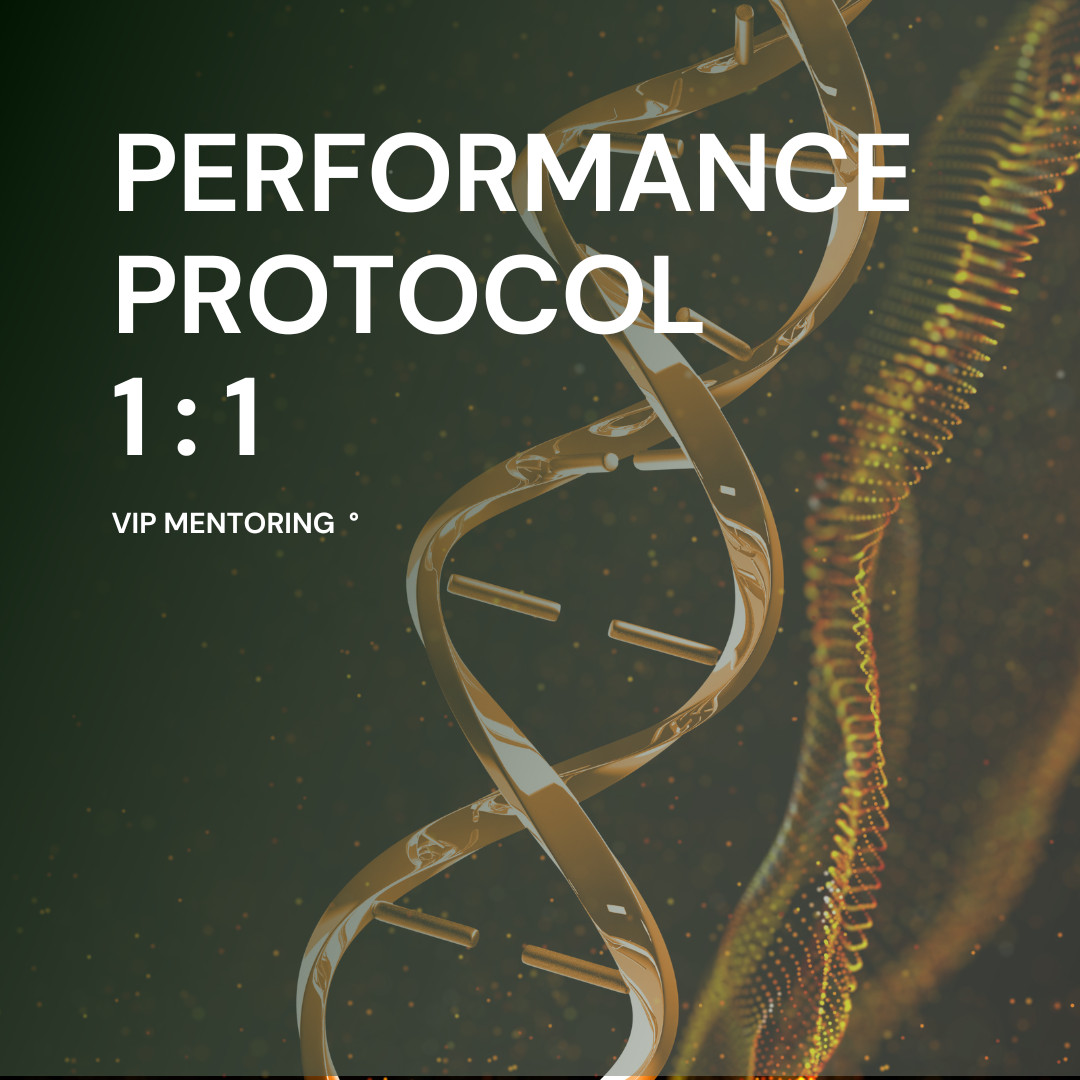 1:1 VIP Mentoring