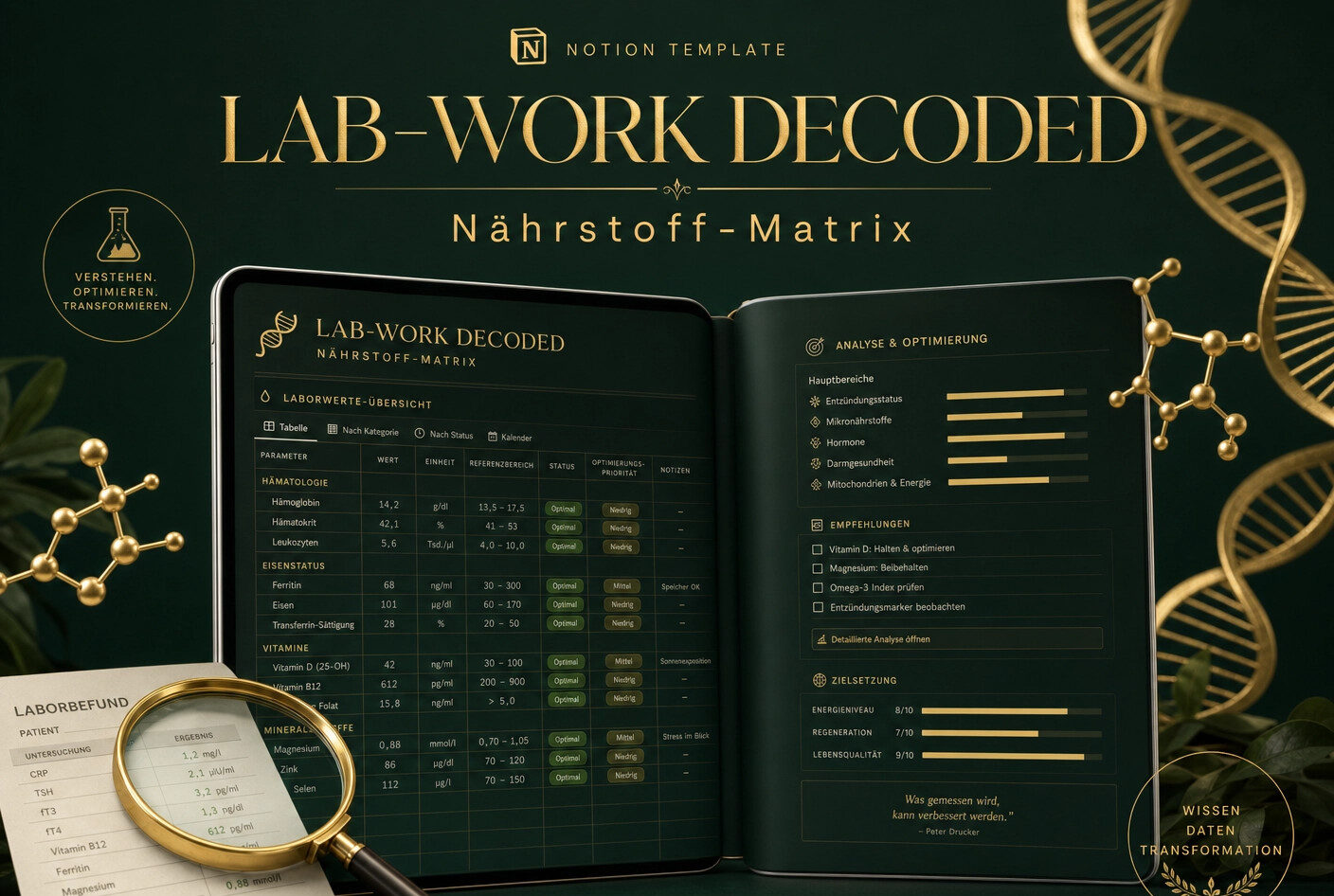 Lab-Work Decoded + Nährstoff-Matrix